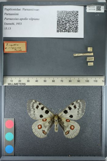 Media type: image;   Entomology 175198